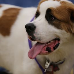 photograph by PeterW